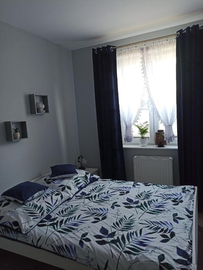 Apartament Szarlotka Appartement Jelenia Góra Buitenkant foto